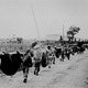Llevando a los prisioneros estadounidenses. Wikimedia Commons